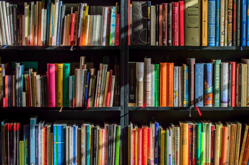 vente-CABRIS-min_books_bookstore_book_reading_shop_writer_sale_books_read-822866